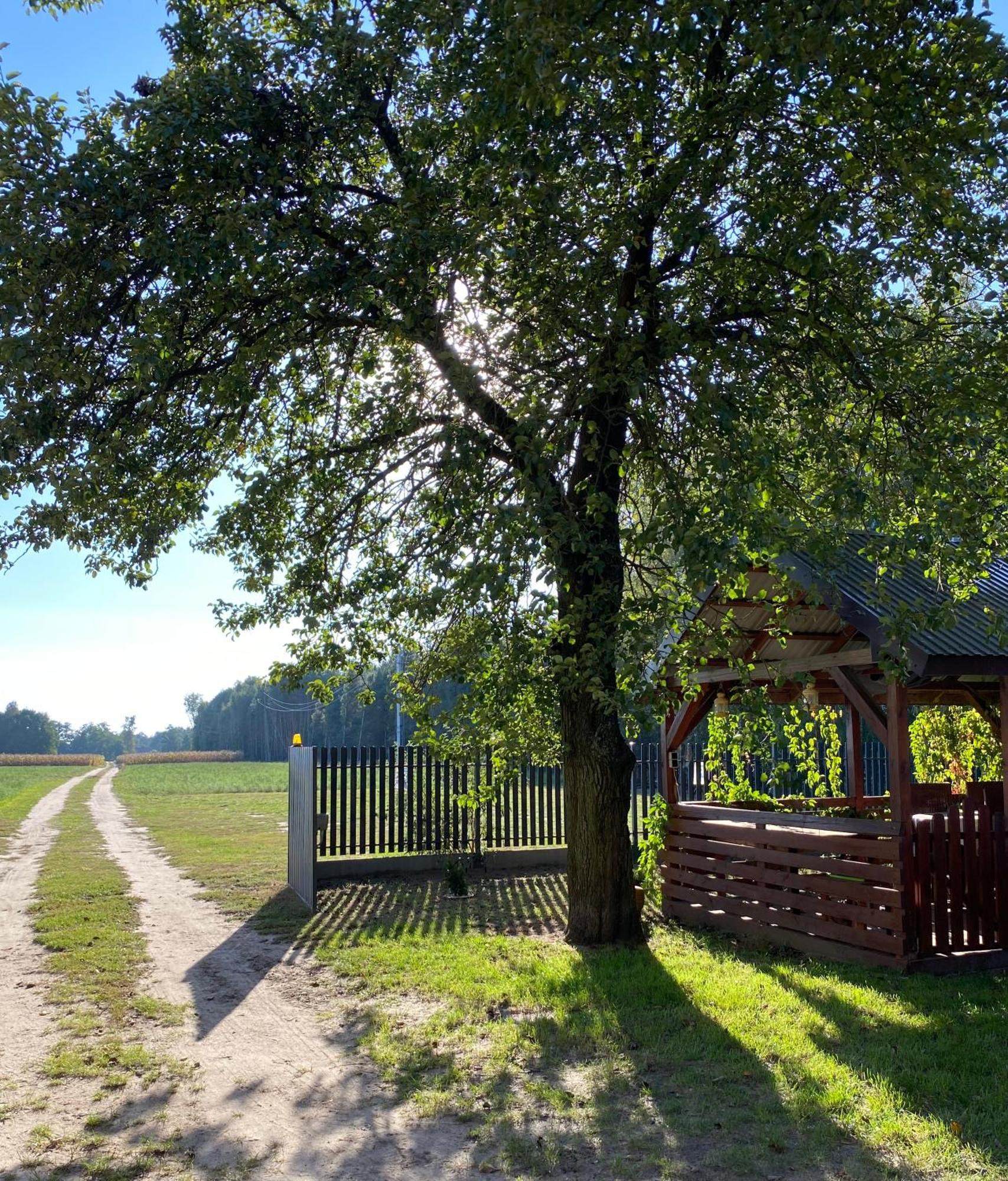 Maciejowka Gospodarstwo Agroturystyczne Poddebice Bagian luar foto