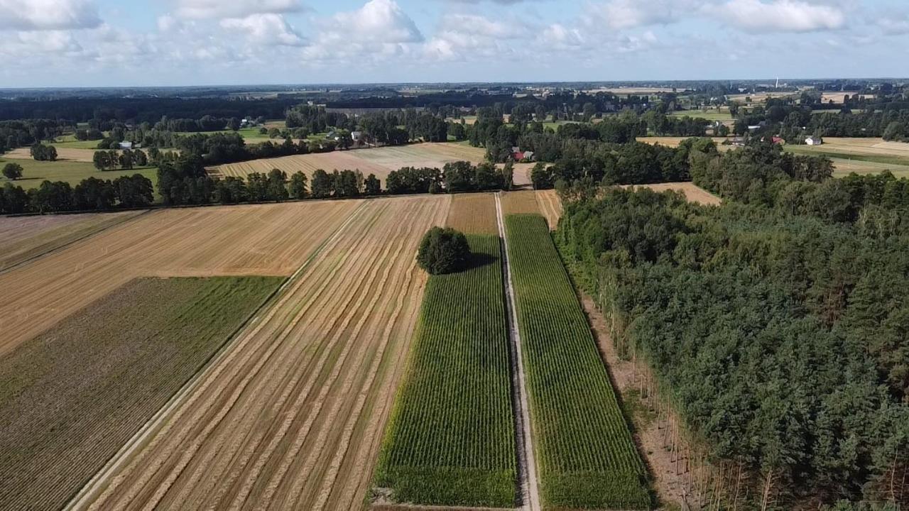 Maciejowka Gospodarstwo Agroturystyczne Poddebice Bagian luar foto